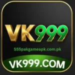 vk 999