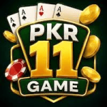 11pkr
