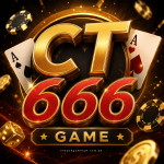 CT666