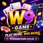 W9 Game